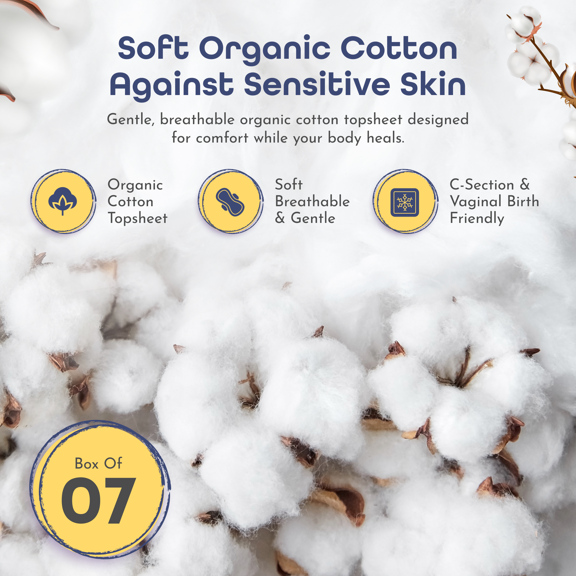 Absorbent Underwear - Image 4